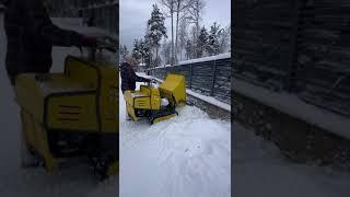 VIDEO 2025 01 13 09 56 00 1