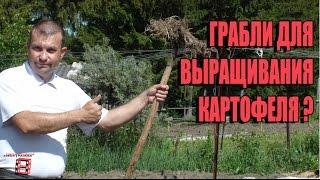 КАРТОФЕЛЬ И ГРАБЛИ? СЕКРЕТЫ ВЫРАЩИВАНИЯ КАРТОФЕЛЯ 1. БОРЕМСЯ С СОРНЯКАМИ. САД (ОГОРОД) И ТЕПЛИЦА