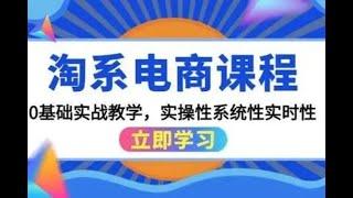 2024年最新淘宝电商系列课底层逻辑解析核心操作教程