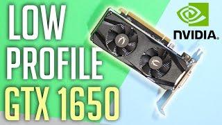 Only Reason To Buy A GTX 1650?!? | Zotac Low Profile GTX 1650