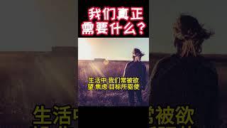 我们真正需要什么？       德国玄门禅寺       #修心 #修行 #禅 #禅宗 #禅修 #佛教 #内丹 #修仙 #道教 #双修 #炁 #站桩 #气功 #人生感悟