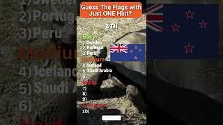  The ULTIMATE Flag Challenge – Can You Get a Perfect Score? 