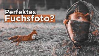 Meine Reise zum perfekten Fuchsfoto | Teil 1 | Wildlife Fotografie