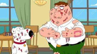 Best Family Guy Fight Scenes Compilation