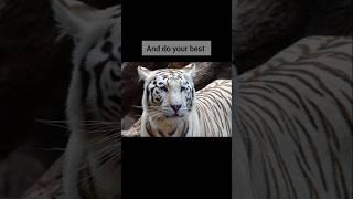 Motivational lines inspiration deep lines 