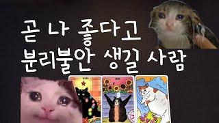 [타로] 곧 나 좋다고 분리불안 생길 사람