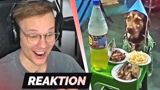 TRY NOT TO LAUGH 66.0  | Reaktion