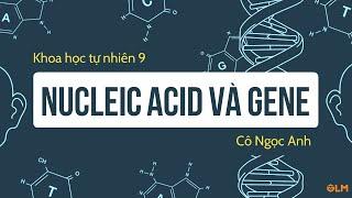 Nucleic acid và gene - Khoa học tự nhiên 9 - OLM.VN