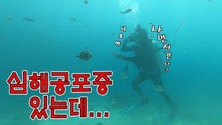 심해공포증 극복하고 공약지키러 갔는데....죽을뻔ㅎㄷㄷ