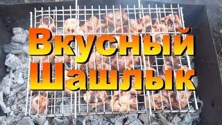 Шашлык вкусный и сочный. Мой рецепт шашлыка в лимонно-луковом маринаде