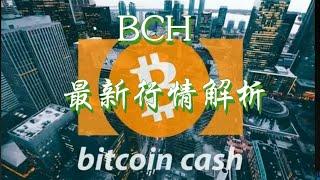 比特币现金bch币最新消息,一个快被遗忘的币，bch近期走势如何，bch有机会吗，bch投资策略#bch #比特币现金