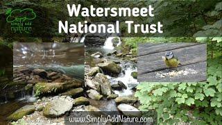 Experience Watersmeet National Trust Devon waterfalls rivers and natural sounds ​⁠