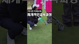 2025 신입캐디모집   #골프캐디 #캐디교육 #golf