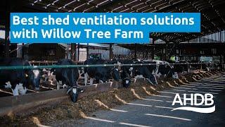 Best shed ventilation solutions with Willow Tree Farm | AHDB Dairy 360 tour