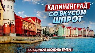 5 дней в Калининграде: Учеба, бизнес и экскурсии — мой опыт на Executive MBA