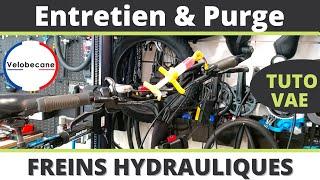  Tutoriel - ENTRETIEN & PURGE du système de FREINS hydrauliques *VÉLOBECANE*