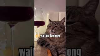 Mistakes Every Cat Owner Should Know