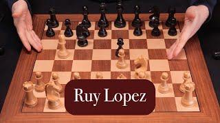 Learn the Ruy Lopez and Relax  Chess Opening Tutorial  ASMR