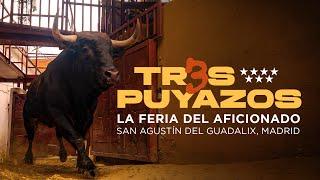 3 PUYAZOS | La feria del aficionado 