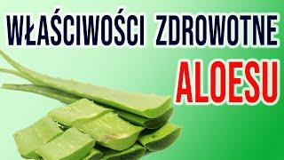  ALOES - właściwości LECZNICZE i zastosowanie. Jak wybrać sok z Aloe Vera?