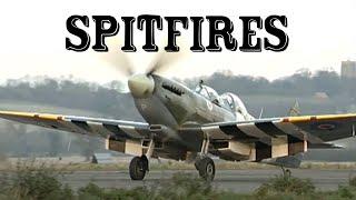 Spitfires