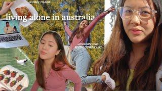 living alone in australia | edith cowan university tour, sunday morning routine, choc strawberry