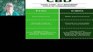 The Efficacy of High CBD Low THC for Better Outcomes in Medical Marijuana