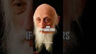 Dr. Abraham J. Twerski - A Life Lesson From A Lobster #shorts #shortsfeed #shortsvideo #motivation