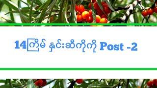 14ကြိမ် နှင်းဆီကိုကို Post-2