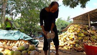 Amazing Apple Coconut Farm Harvesting and Cutting Process - Thai Street Food
