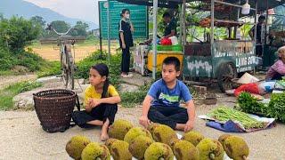 The poor girl and the homeless boy went to pick jackfruit to sell to make money to buy food