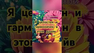 Я целостен и гармоничен в этом драйв. Я ТЫОРЕЦ. КОДЫ АКТИВАЦИИ. 4D. #аффирмации #квантовоеполе