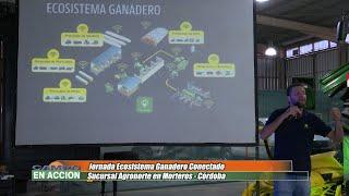 Sistema de producción de Forrajes - Federico Sánchez