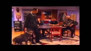 Martin Famous Dog Scene (Best Quality)