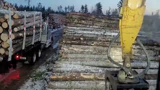 320CLL caterpillar log loader loading logs