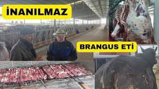 HASTALANMAYAN MUHTEŞEM DANALAR (%100 Brangus Dana Sucuğu)