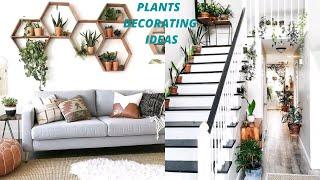 Plants Decoration Ideas for Home/Interior Design Ideas 2022