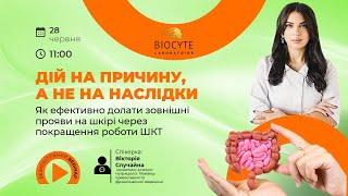 Як ефективно долати зовнішні прояви на шкірі через покращення роботи ШКТ