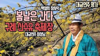 봄날은 간다/대금연주/최성남대금가요--구독, 좋아요 누르시고 산수유꽃 구경하세요. 제가 찍으면 훨씬 더 이쁩니다.......