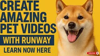 How a Dog Company Mastered Video Marketing