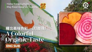 EP43【ENG SUB】A Colorful Organic Taste 有心機農場  | May Food Keep Us Together #飲食男女 種出美味色彩