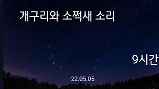 개구리와 소쩍새 소리