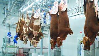 Incredibly Modern Beef Processing Plant Technology, Modern meat Cutting Machines & Pork Processing