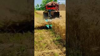 Wheat Cutting By Tractor in Swabi #swabi #beauty #swabiwal #swabitravels #wheat #wheatcutting