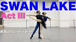 【本気バレエ #2】黒鳥のパ・ド・ドゥ | Pas de deux from Swan Lake Act lll