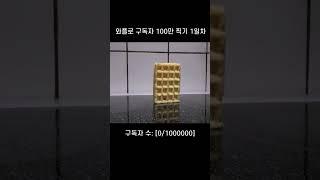 와플로 구독자 100만 되기 1일차