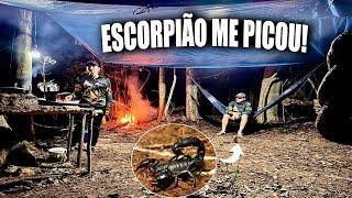 ️FUI PICADO POR UM ESCORPIÃO VENENOSO NO ACAMPAMENTO