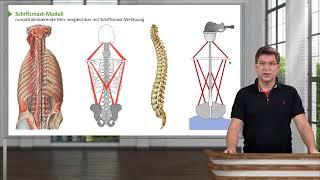 Anatomie I Bewegungssystem: Rücken - Einführung I Prof. Dr. med. Wirth