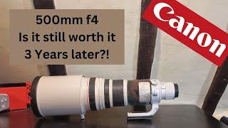 Canon ef 500mm f4 - 3 Years Later! Is it still worth it?