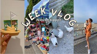 LAATSTE DAG ONTHAALMOEDER, SPEELGOEDMARKT & NAAR ZEE  / VLOG 5-2024